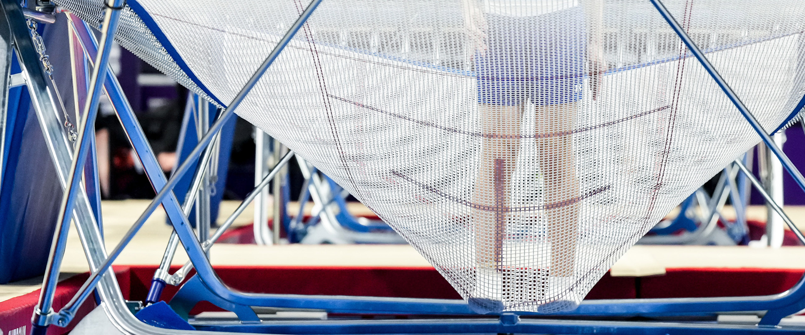 Testata - Trampolino Elastico