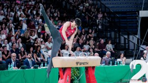 f8 a1 sfe00733 copia simone ferraro ph