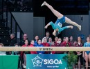 f8 a1 sfe02205 copia simone ferraro ph