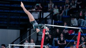 f8 a1 sfe04460 copia simone ferraro ph