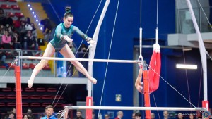 serie a1 sfe00786 copia simone ferraro ph