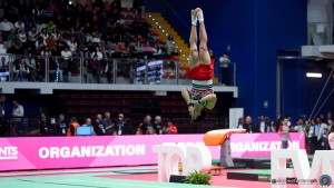 serie a1 sfe04610 copia simone ferraro ph