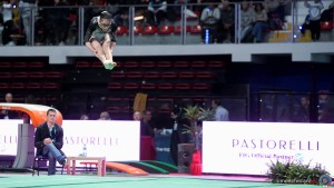 serie a1 sfe05051 copia simone ferraro ph