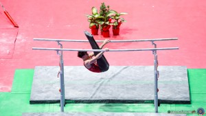 serie a1 sfe05490 copia simone ferraro ph