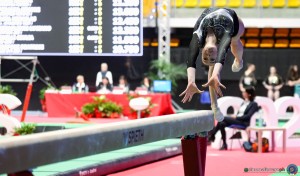 serie a2 sfe03253 copia simone ferraro ph