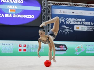 alina harnasko palla