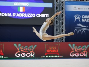 enrica paolini cerchio