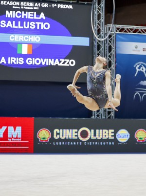 michela sallustio cerchio