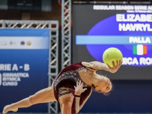 elizabeta havryliv palla