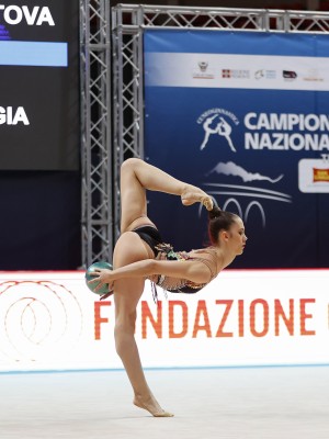 polina berezina palla