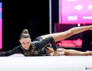 q sr dragas tara ita sfe07592 copia simone ferraro ph