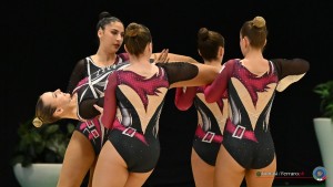 albertella   beretta   miodini   pedana   pedana aerobic fusion a
