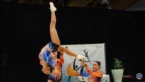 alighieri   ciccarelli   cutini artistica p.s.elpidio f15