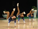 biasiotti   cerbara   vannutelli ginnastica agora   e