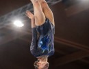 tra ind q radaelli letizia ita fs102632 copial simone ferraro ph