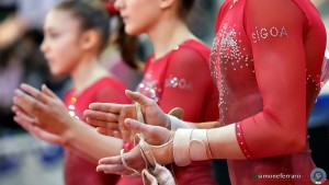 Ninkon D4s SF104057 copia