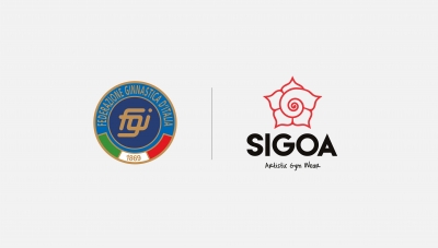 fgi-sigoa